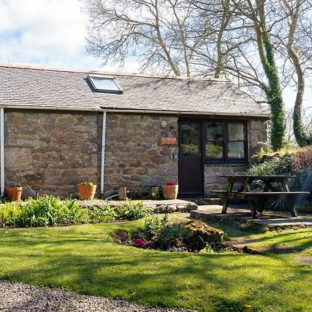 Cosy Cottage In The Beautiful Lamorna Valley - Walk To The Pub & Sea Paul Exterior foto